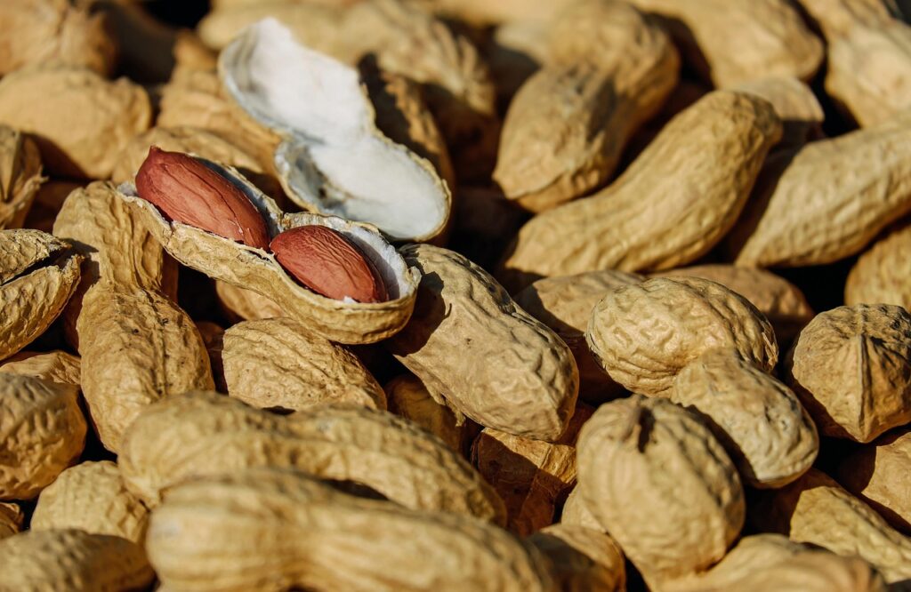 nuts, peanuts, roasted, snacks, healthy, delicious, roasted peanuts, peanut shells, shelled nuts, food, food photography, nuts, nuts, peanuts, peanuts, peanuts, peanuts, peanuts