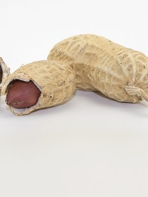 nut, peanut, snack, peanuts, nuts, shell, peanut, peanut, peanut, peanut, peanut, peanuts, peanuts