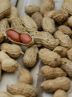 pexels photo 135755 135755